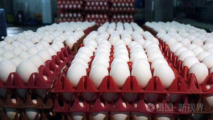 家禽养殖场的鸡蛋.农业,工业.照片-正版商用图片2ki3n9-摄图新视界