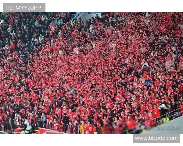 足球白鹿巷的传奇故事与热情球迷的共同记忆