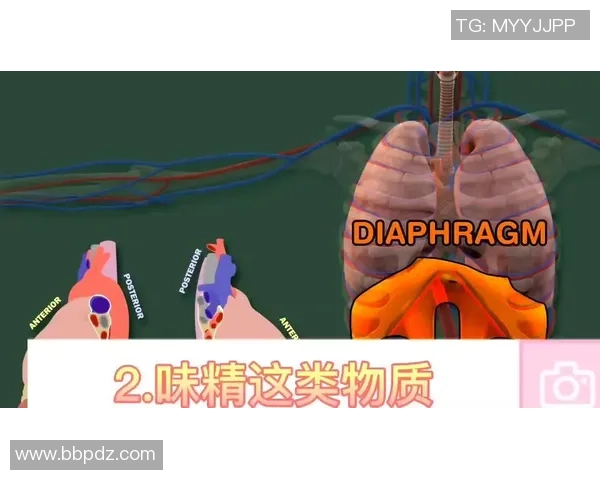 足球失眠的烦恼与解药如何在绿茵场上找回安眠的秘诀