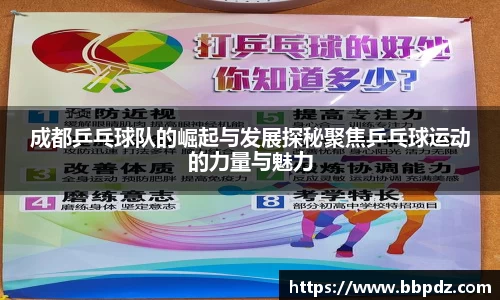 必一运动bsport体育