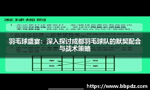 羽毛球盛宴：深入探讨成都羽毛球队的默契配合与战术策略