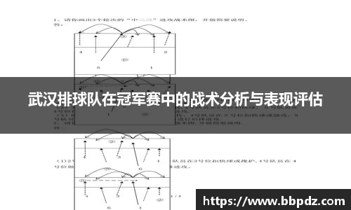 武汉排球队在冠军赛中的战术分析与表现评估