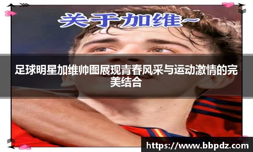 必一·体育(b-sports)