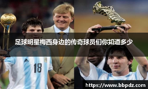 必一·体育(b-sports)